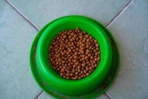 Photography of cat food in a green bowl. Textured background is a bowl of cat food on a white background. Graphic Resources. Details and textures. Food photography. Shot in macro lens photo