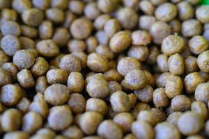 Photography of Texture of cat food grains. Textured background of round, brown cat food. Graphic Resources. Details and textures. Food photography. Shot in macro lens photo