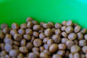 Photography of Texture of cat food grains. Textured background of round, brown cat food. Graphic Resources. Details and textures. Food photography. Shot in macro lens photo