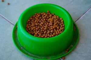 Photography of cat food in a green bowl. Textured background is a bowl of cat food on a white background. Graphic Resources. Details and textures. Food photography. Shot in macro lens photo