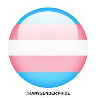 TRANSGENDER PRIDE flag button on white background vector