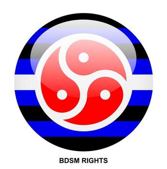 bdsm derechos bandera botón en blanco antecedentes vector