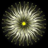 Round abstract white pattern on a black background vector
