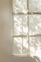 Soft Morning Light Filtering Through a Bedroom Window Casting Shadows of Leaves photo