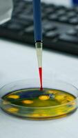 Close up of scientist using micropipette for analysing blood sample putting in petri dish. Team of researchers examining virus evolution using high tech for vaccine development against covid19 photo