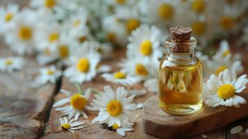 Macro View of Chamomile Flower Oil in Glass Bottle on Wooden Table photo