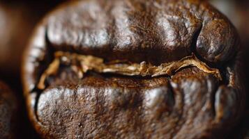 Extreme Close-Up of Roasted Coffee Bean photo