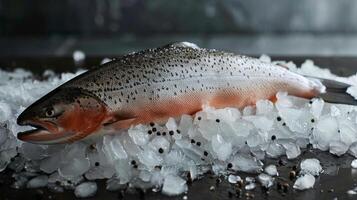 Fresh Whole Salmon on Ice - Seafood Elegance at Its Finest photo