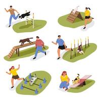 Dog Agility Course Set vector