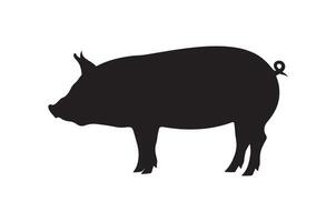 Pig on a white, pig silhouette illustration white background vector