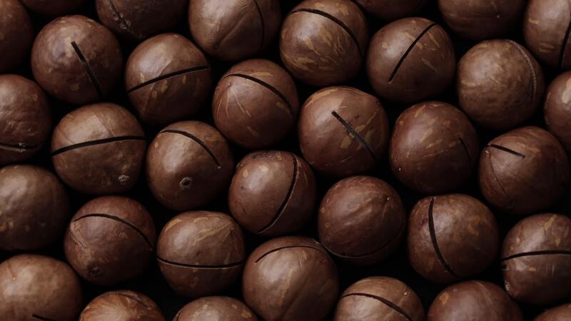 Nahansicht von Macadamia Nuss Saat Hintergrund 46472261 Stock-Video bei Vecteezy