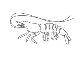 Shrimp in one continuous line drawing of premium illustration vector