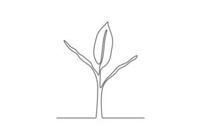 Banana tree in one continuous line drawing digital illustration vector