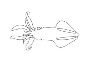 Squid fish in one continuous line drawing pro illustration vector