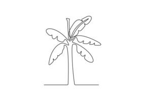 Banana tree in one continuous line drawing digital illustration vector
