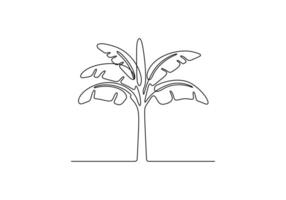Banana tree in one continuous line drawing digital illustration vector