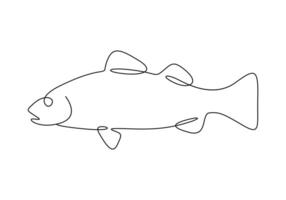 White bass fish in one continuous line drawing premium illustration vector