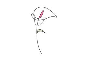 Calla lily continuous one line drawing digital illustration vector
