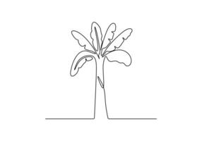 Banana tree in one continuous line drawing digital illustration vector