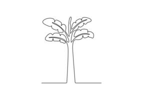 Banana tree in one continuous line drawing digital illustration vector