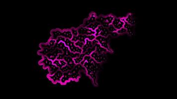 Neon frame effect map of Slovenia, glow, black background. video