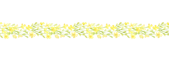 Small yellow flowers pattern horizontal watercolor illustration. Isolated from the background. The elegant design is ideal for borders, invitations, greeting cards and decorative projects, adding png