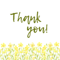 Small yellow flowers pattern horizontal watercolor illustration. Isolated from the background. The elegant design is ideal for borders, invitations, greeting cards and decorative projects, adding png