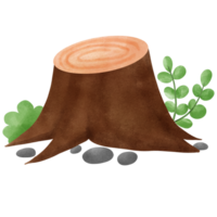 tree with a branch of a tree png