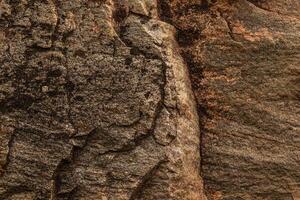 Dark red orange brown stone with cracks Closeup of uneven mountain surface photo
