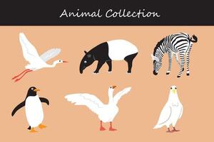 Animals collection isolated on color background. vector