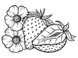 strawberry line art illustration composition with berries leaves and flowers, hand drawn botanical outline sketch, monochrome drawing. Design element for coloring book, background, pattern vector