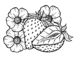 strawberry line art illustration composition with berries, leaves and flowers, hand drawn botanical outline sketch, monochrome drawing. Design element for coloring book, background, pattern vector