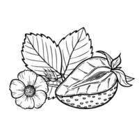Strawberry line art illustration composition with berry half, leaves and flower, hand drawn botanical outline sketch, monochrome drawing. Design element for coloring book, background, pattern vector