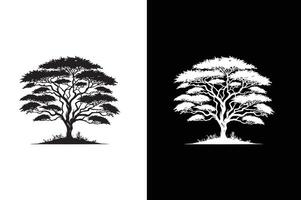 Flat Acacia Tree icon illustration. Tree branch. vector