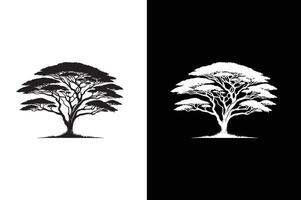 Flat Acacia Tree icon illustration. Tree branch vector