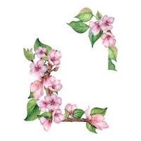 Watercolor frame with pink flowers of fruit tree isolated on white. Design template of floral frame with blossom branch hand drawn. Element for wedding invitation, card, packaging, label product vector