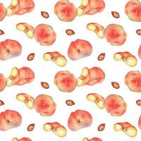 Watercolor seamless pattern with fig peaches and slice isolated on white background. Whole ripe and half fruits. Chines peaches hand drawn. Design element for package, textile, wrapping paper, fabric. vector