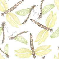Dragonflies watercolor and shadows seamless pattern isolated on white. Flying insects illustration hand drawn. Colorful sketch bugs with transparent wings. Design for textile, tableware, wrapping vector