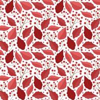 pattern of poinsettia leaves and red berries on a branch vector