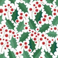 pattern with green holly leaves and red berries on a branch vector