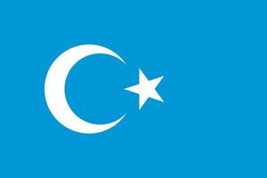 The of a Kokbayraq flag vector