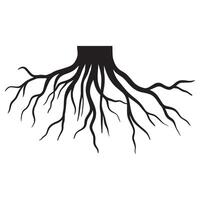 Doodle sketch style of tree root illustration for concept design. vector