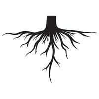 Doodle sketch style of tree root illustration for concept design. vector