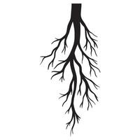 Doodle sketch style of tree root illustration for concept design. vector