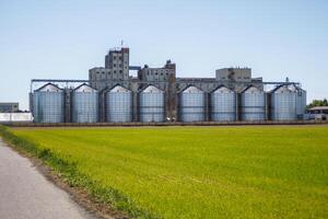 silos granary elevator on agro-industrial complex with seed cleaning and drying line for grain storage photo