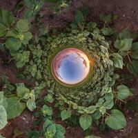 blue hole sphere or globe little planet inside sand or dry grass round frame background photo