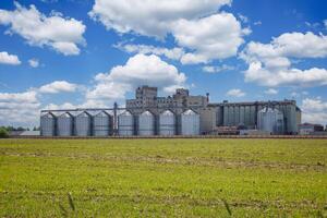 silos granary elevator on agro-industrial complex with seed cleaning and drying line for grain storage photo