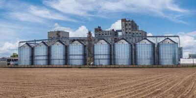 silos granary elevator on agro-industrial complex with seed cleaning and drying line for grain storage photo
