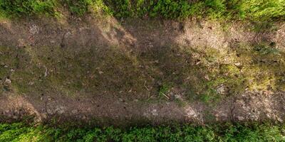 view from above on texture of dry muddy road with tractor tire tracks in forest photo