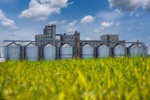 silos granary elevator on agro-industrial complex with seed cleaning and drying line for grain storage photo
